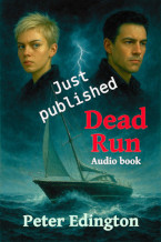 Dead Run Book Cover